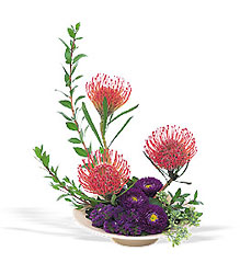 Pin Cushion Protea Bowl Davenport Florist - Same Day Flower Delivery - Flower Power 