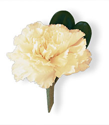 White Carnation Boutonniere Flower Power, Florist Davenport FL