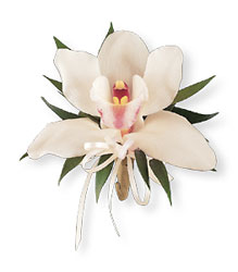 Cymbidium Orchid Corsage Davenport Florist - Same Day Flower Delivery - Flower Power 