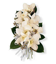 White Dendrobium Corsage Flower Power, Florist Davenport FL