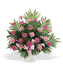 Basket with Pink Carnations Davenport Florist - Same Day Flower Delivery - Flower Power 