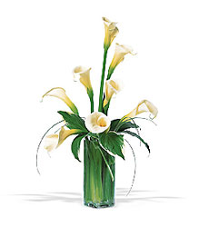 White Callas Davenport Florist - Same Day Flower Delivery - Flower Power 