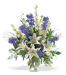 Lily & Delphinium Arrangement Davenport Florist - Same Day Flower Delivery - Flower Power 